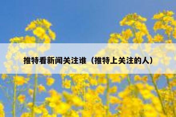 推特看新闻关注谁（推特上关注的人） 第1张