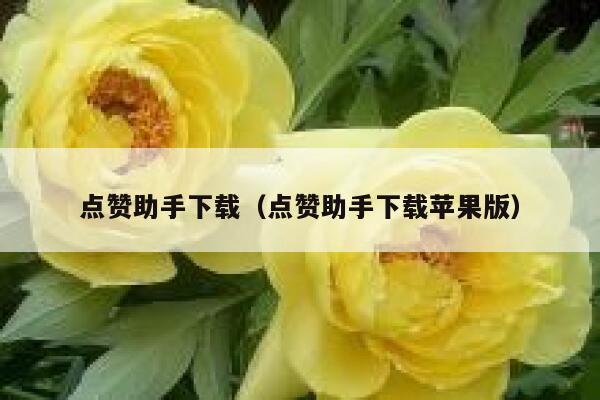 点赞助手下载（点赞助手下载苹果版） 第1张