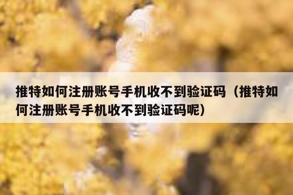 推特如何注册账号手机收不到验证码（推特如何注册账号手机收不到验证码呢） 第1张