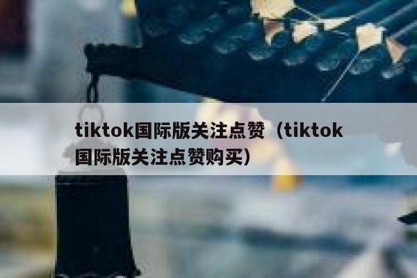 tiktok国际版关注点赞（tiktok国际版关注点赞购买） 第1张