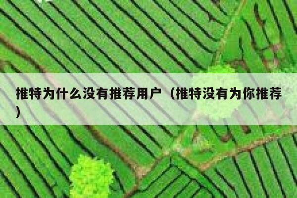 推特为什么没有推荐用户（推特没有为你推荐） 第1张