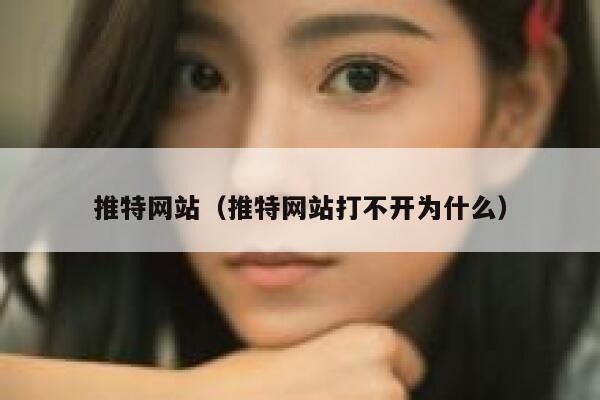 推特网站（推特网站打不开为什么） 第1张
