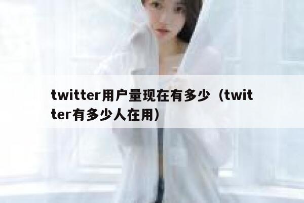 twitter用户量现在有多少（twitter有多少人在用） 第1张