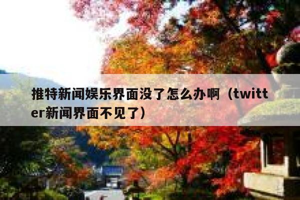 推特新闻娱乐界面没了怎么办啊（twitter新闻界面不见了） 第1张