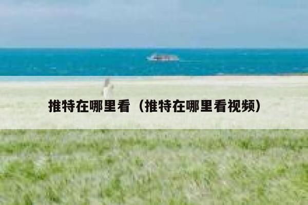 推特在哪里看（推特在哪里看视频） 第1张