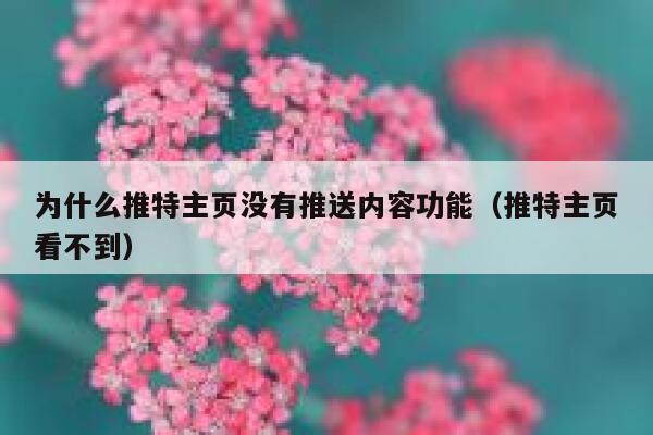 为什么推特主页没有推送内容功能（推特主页看不到） 第1张