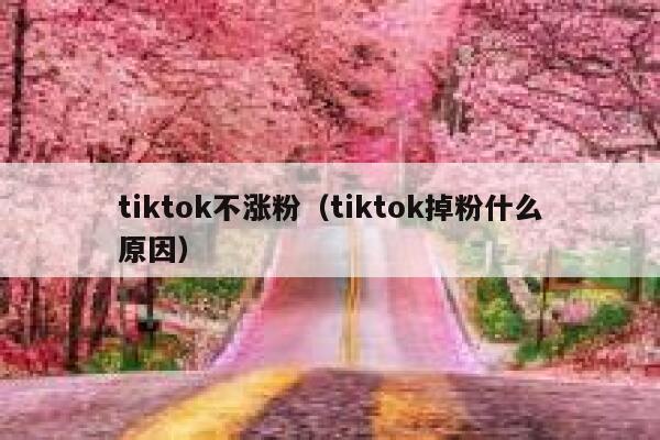 tiktok不涨粉（tiktok掉粉什么原因） 第1张