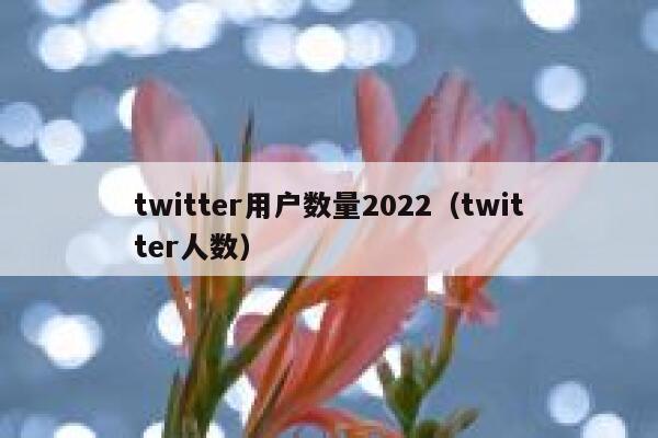 twitter用户数量2022（twitter人数） 第1张