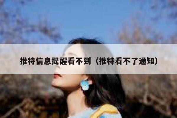 推特信息提醒看不到（推特看不了通知） 第1张