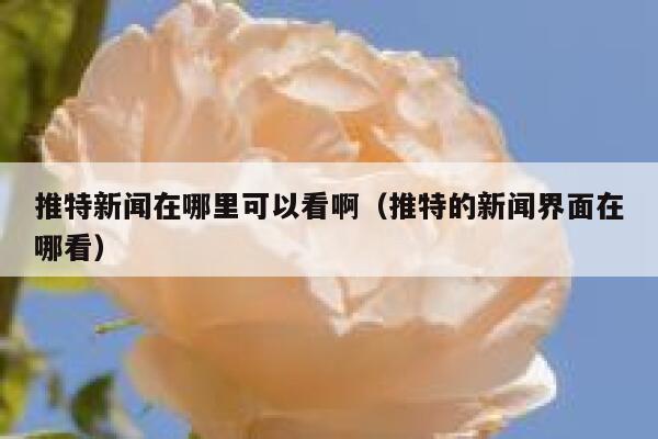 推特新闻在哪里可以看啊（推特的新闻界面在哪看） 第1张