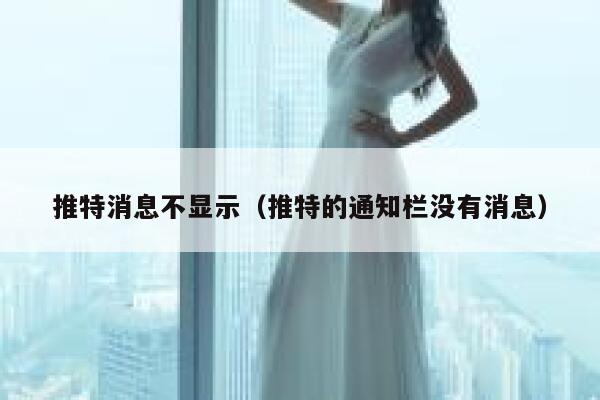 推特消息不显示（推特的通知栏没有消息） 第1张
