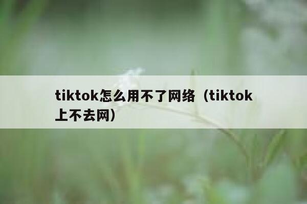 tiktok怎么用不了网络（tiktok上不去网） 第1张