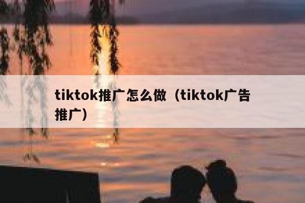 tiktok推广怎么做（tiktok广告推广） 第1张