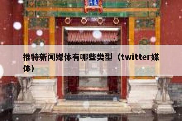 推特新闻媒体有哪些类型（twitter媒体） 第1张