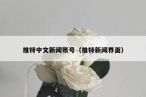 推特中文新闻账号（推特新闻界面） 第1张