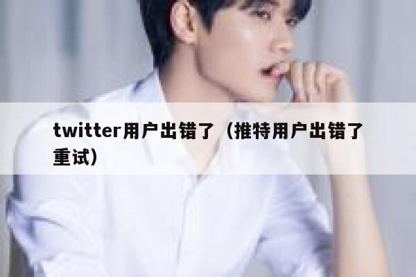 twitter用户出错了（推特用户出错了重试） 第1张