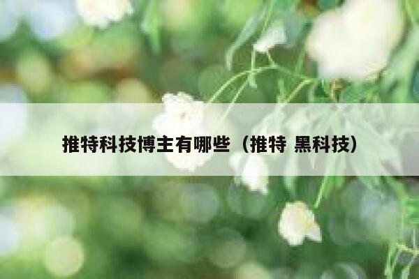 推特科技博主有哪些（推特 黑科技） 第1张