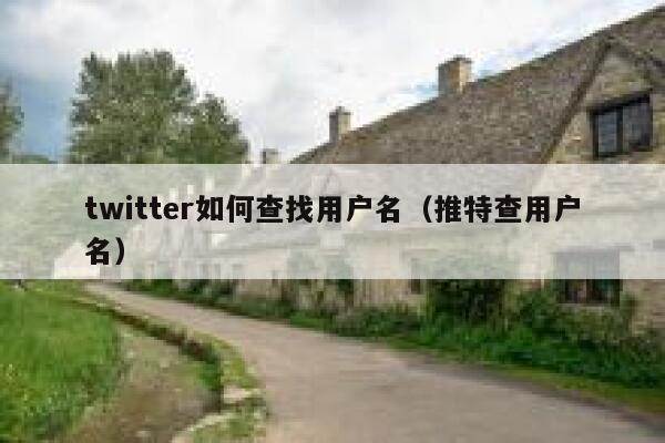 twitter如何查找用户名（推特查用户名） 第1张