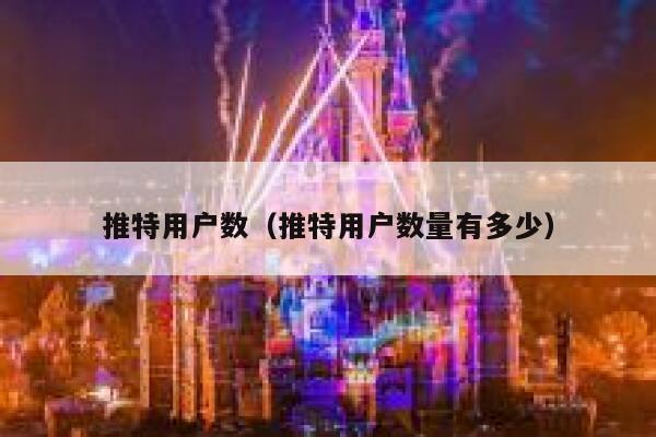 推特用户数（推特用户数量有多少） 第1张