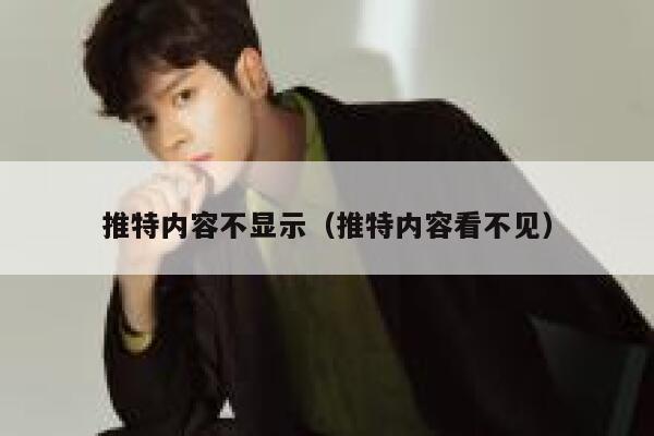 推特内容不显示（推特内容看不见） 第1张