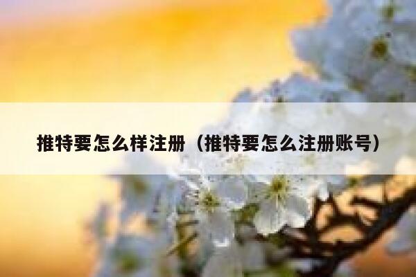推特要怎么样注册（推特要怎么注册账号） 第1张