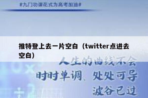推特登上去一片空白（twitter点进去空白） 第1张