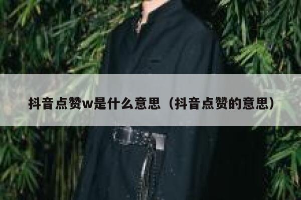 抖音点赞w是什么意思（抖音点赞的意思） 第1张