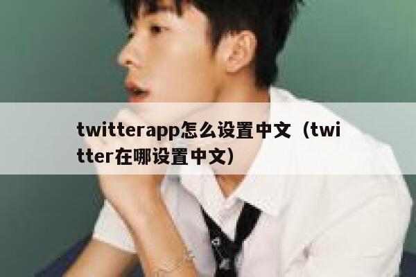 twitterapp怎么设置中文（twitter在哪设置中文） 第1张