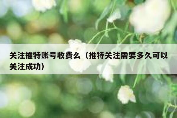 关注推特账号收费么（推特关注需要多久可以关注成功） 第1张
