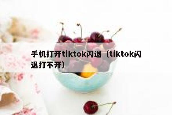 手机打开tiktok闪退（tiktok闪退打不开） 第1张