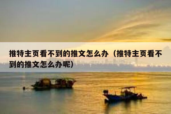 推特主页看不到的推文怎么办（推特主页看不到的推文怎么办呢） 第1张