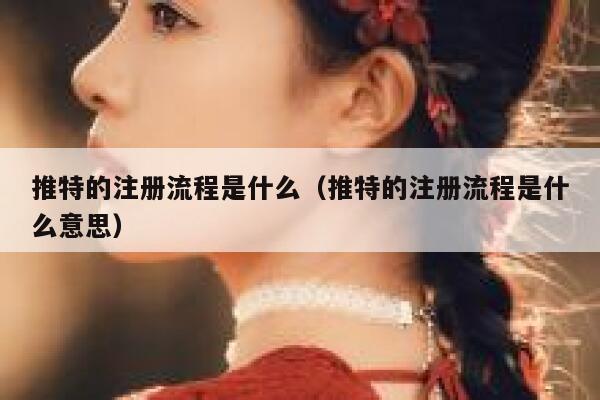 推特的注册流程是什么（推特的注册流程是什么意思） 第1张