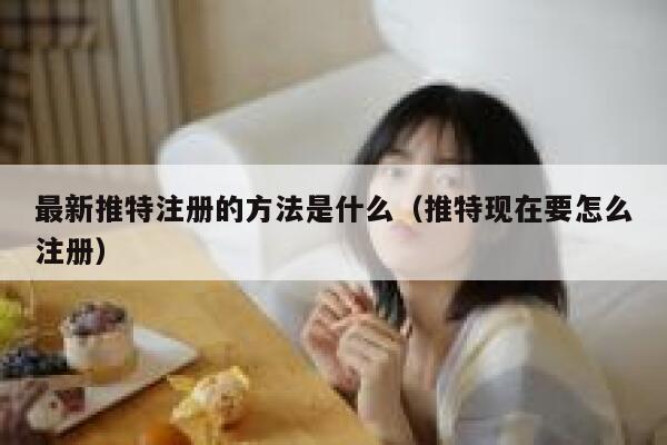 最新推特注册的方法是什么（推特现在要怎么注册） 第1张