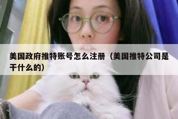 美国政府推特账号怎么注册（美国推特公司是干什么的） 第1张