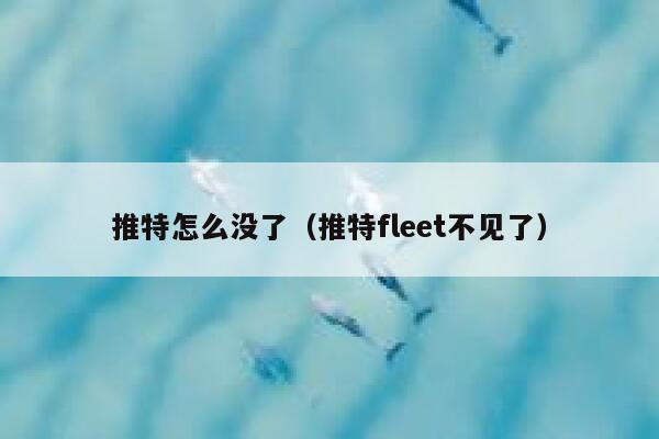 推特怎么没了（推特fleet不见了） 第1张