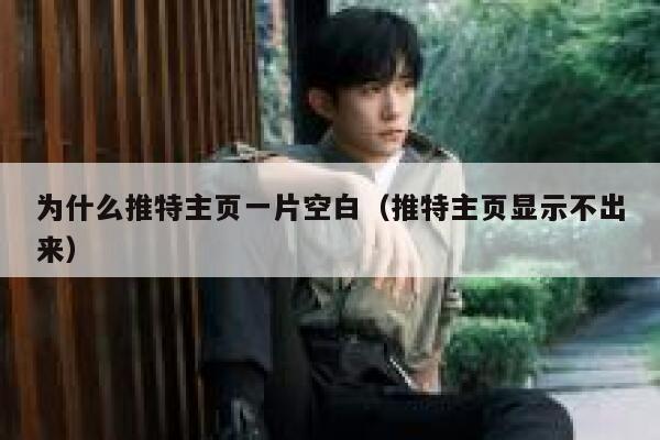 为什么推特主页一片空白（推特主页显示不出来） 第1张