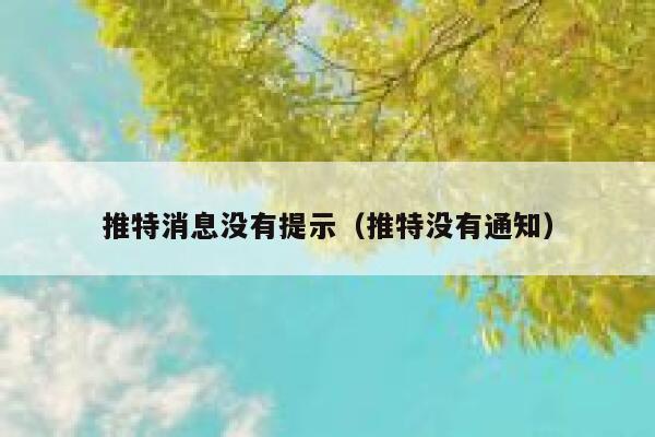 推特消息没有提示（推特没有通知） 第1张