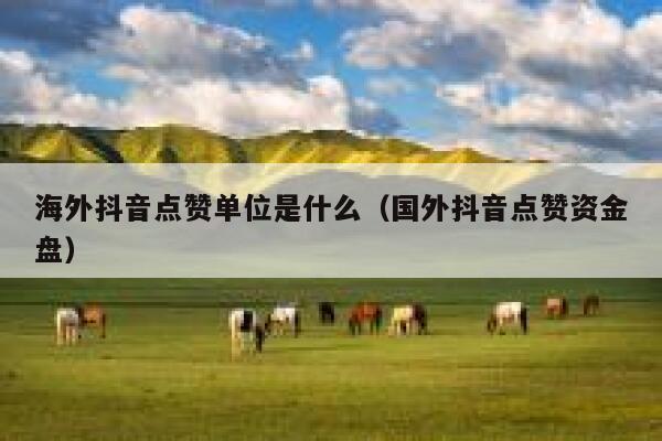 海外抖音点赞单位是什么（国外抖音点赞资金盘） 第1张