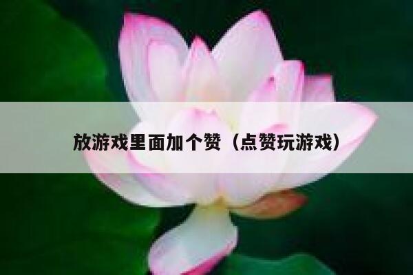 放游戏里面加个赞（点赞玩游戏） 第1张