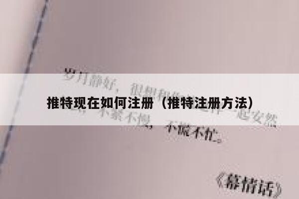 推特现在如何注册（推特注册方法） 第1张