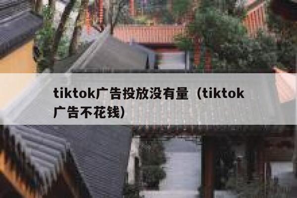 tiktok广告投放没有量（tiktok广告不花钱） 第1张