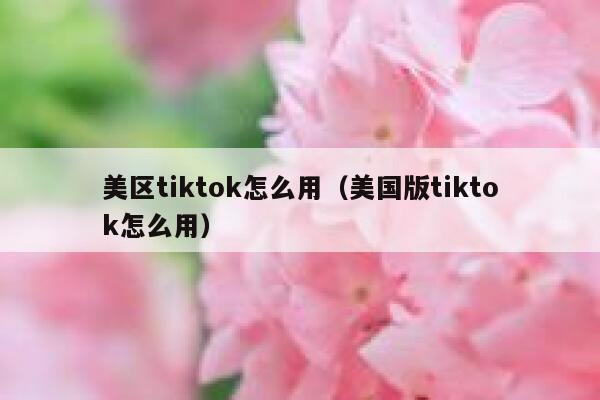 美区tiktok怎么用（美国版tiktok怎么用） 第1张