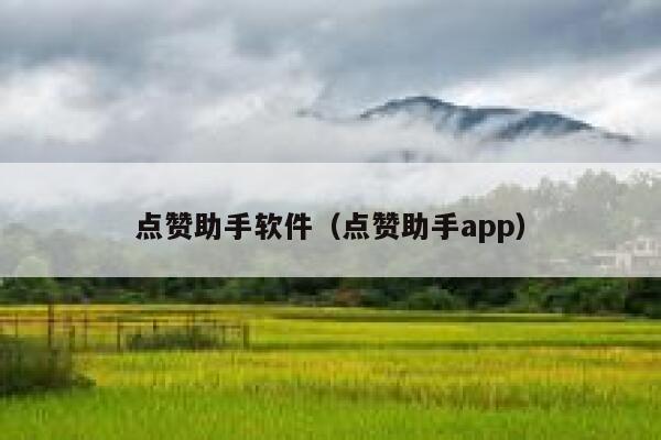 点赞助手软件（点赞助手app） 第1张