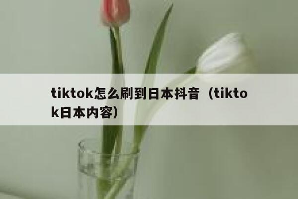 tiktok怎么刷到日本抖音（tiktok日本内容） 第1张