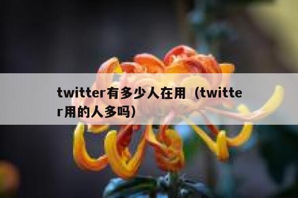 twitter有多少人在用（twitter用的人多吗） 第1张