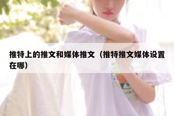 推特上的推文和媒体推文（推特推文媒体设置在哪） 第1张