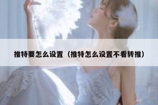 推特要怎么设置（推特怎么设置不看转推） 第1张