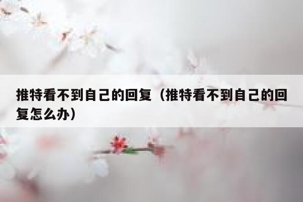 推特看不到自己的回复（推特看不到自己的回复怎么办） 第1张