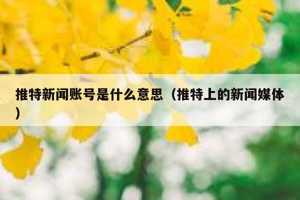 推特新闻账号是什么意思（推特上的新闻媒体） 第1张