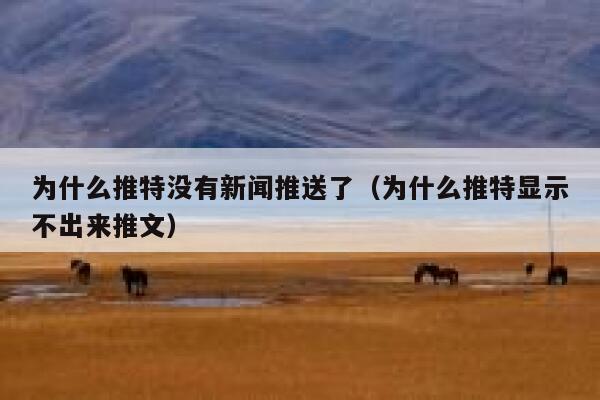 为什么推特没有新闻推送了（为什么推特显示不出来推文） 第1张